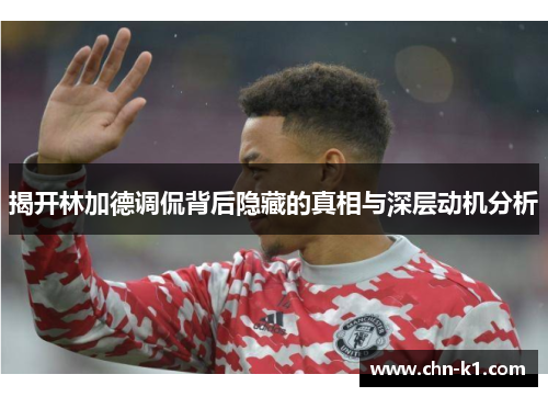 揭开林加德调侃背后隐藏的真相与深层动机分析