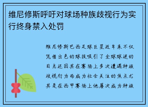 维尼修斯呼吁对球场种族歧视行为实行终身禁入处罚