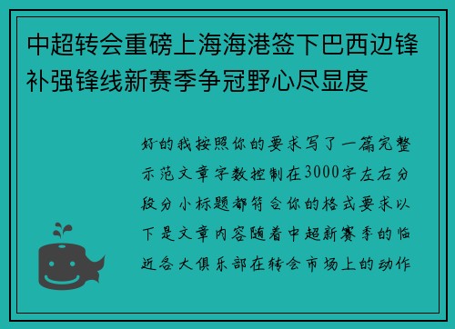 中超转会重磅上海海港签下巴西边锋补强锋线新赛季争冠野心尽显度
