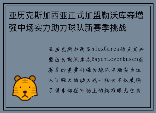 亚历克斯加西亚正式加盟勒沃库森增强中场实力助力球队新赛季挑战