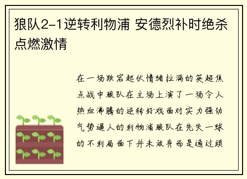 狼队2-1逆转利物浦 安德烈补时绝杀点燃激情